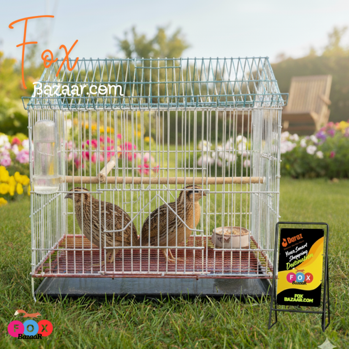 Code-%206057%20-%20House%20Shape%20Bird%20Color%20Full%20metal%20wire%20cage%20for%20Foldable%20Pet%20Carrier/House%20%20bird%20cage,bird%20accessories,bird%20food,bird%20toys,bird%20nest,bird%20harness,bird%20cage%20big%20size,bird%20feeder,bird%20house,bird%20cage%20decoration,bird%20cage%20big%20size%20steel,cage%20sm%20-%20Image%206
