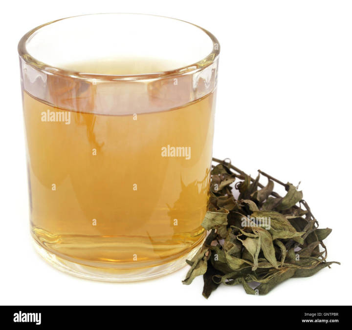 Indian%20Chirota%20Powder-%20100%20gm%20-%20Image%205