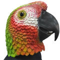 Novelty Parrot Mask Latex Animal Bird Head Mask Halloween Costume Headgear Cosplay Party Props Zoo Masquerade Theater Props.