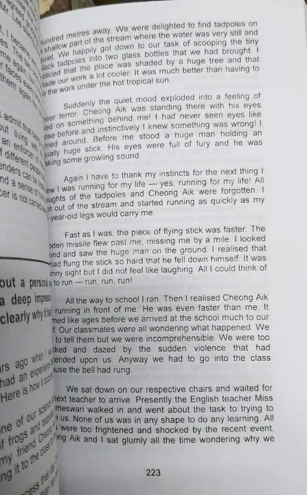 330%20English%20Essays%20By%20Abraham%20Sung%20-%20Image%204