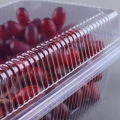 100pcs Transparent Plastic Packaging Box Disposable Fruit Box Food Preservation Takeaway Pastry Cake Snack Packaging Box Bayline. 