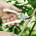 Stainless Steel Garden Pruning Shears Sharp Blade Garden Shears for Cutting Flowers Trimming Plants of Yard Florist Flower Rose Herb Hedge Bonsai and Fruits Picking.