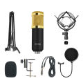 BM800 Condenser Microphone.