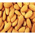 Kat badam - Almonds কাঠ বাদাম - 1KG (Imported) Indian. 