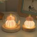 Decorative Table Lights Table Lamp Bedroom Shell Wedding Modern Party with LED Function Novelty Birthday Gift Mini Desk Lights Night Light.