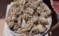 Moriom Ful - Moriom Flower - Moriom Full - Maryam Ful - 1ps. 