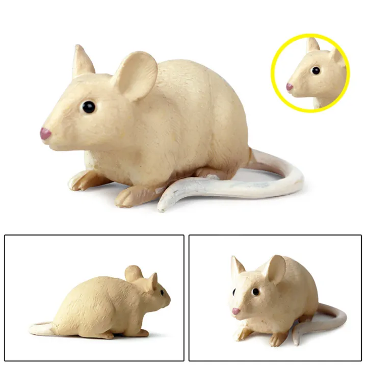 %EF%BC%88New%EF%BC%89Realitic%20Moue%20Rat%20Opoum%20Animal%20Model%20Figure%20Dek%20Decor%20Education%20Kid%20Toy%20-%20Image%208