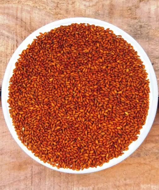 Halim%20Seeds%20-%201%20kg%20halim%20danaa%20-%20Image%203