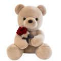 Creative Couple Teddy Bear Doll Valentine's Day Rose Bear Bear Plush Toy Cross Border Ragdoll Girl Gifts.