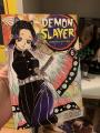 Demon Slayer: Kimetsu no Yaiba, Vol. 6. 