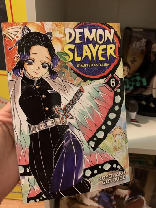 Demon%20Slayer:%20Kimetsu%20no%20Yaiba,%20Vol.%206%20-%20Image%203