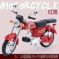 1:10 Honda JH-70 Motorcycle Diecast Model – Premium Collectible, Home Décor & Gift Idea in Red Foam Box. 
