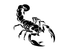 Scorpion 1 pair Sticker for car. 