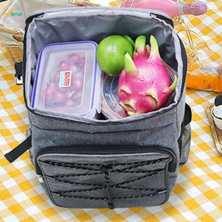 Insulated Lunch Backpack, Multifunctional Leakproof Waterproof