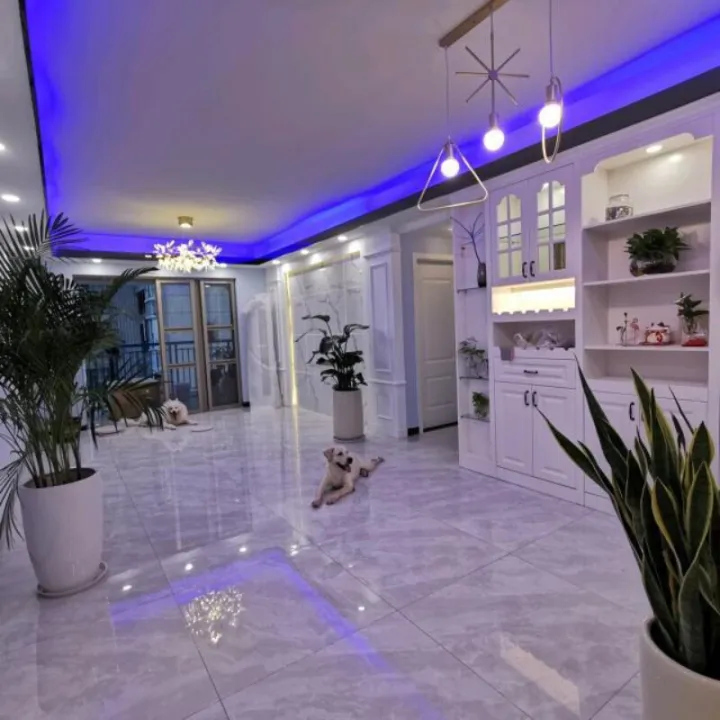 2835%20LED%20Light%20Tape%20RGB%20DC%2012V%20LED%20Lights%201%20Meter%20LED%20Strip%20RGB%20%20Non%20Waterproof%2060%20LED/M%20RGB%20Strip%20Tape%20Flexible%20Diode%20TV%20Backlight%20-%20Image%205