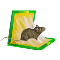 China rat eighteen traps mouse and rat eighteen traps-1 pice - Great to Have.