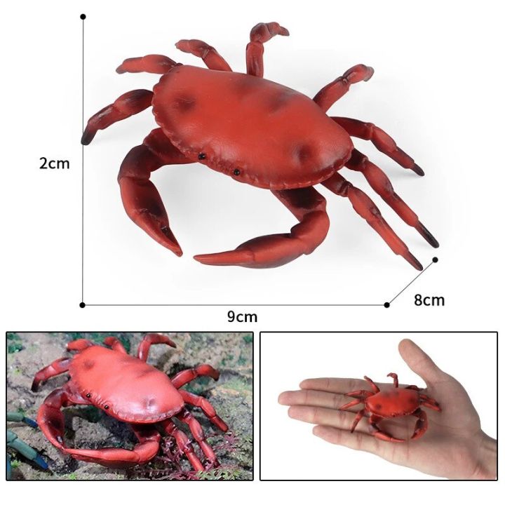 2022%20Ocean%20Simulation%20Crab%20Figurines%20Collection%20Sea%20Life%20Hermit%20Crab%20Lobster%20Stingray%20Model%20Action%20Figure%20Marine%20Animals%20Kid%20Toy%20-%20Image%207