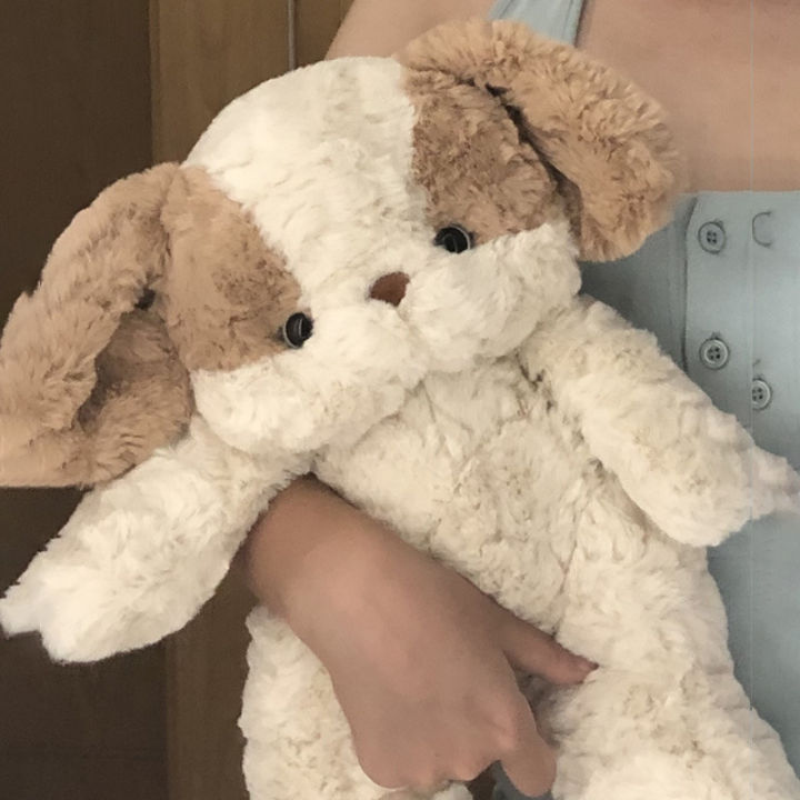 Puppy doll that can sing birthday songs, sleeping, holding plush toys, Seth, toot dolls, giving birthday gifts to friends