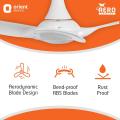 Orient Electric Aeroquiet Premium BLDC Ceiling Fan 1200MM / 48" | 100% Copper Motor | High Air Delivery | Decorative Fan (White).