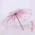 Transparent Flower Print  Ladies Folding Umbrella /Transparent Umbrella For Women. 