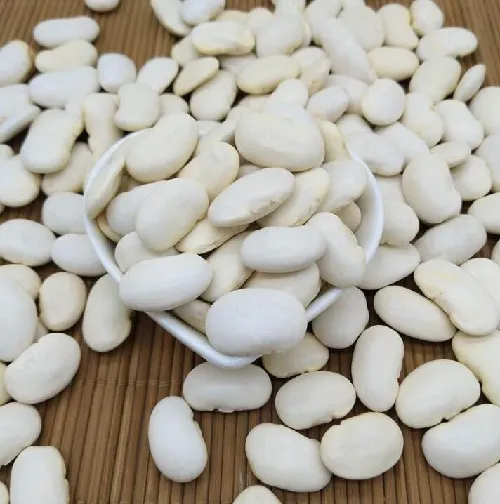 White%20Kidney%20Beans%20(Rajma)%20500%20gm%20-%20Image%203