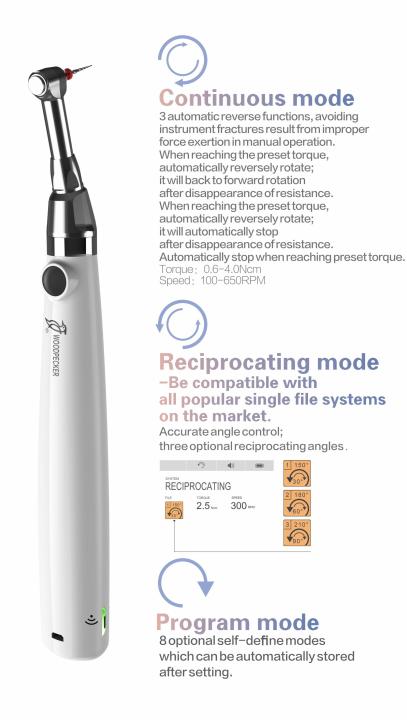 Dental%20Endo%20Motor%20-%20Image%209