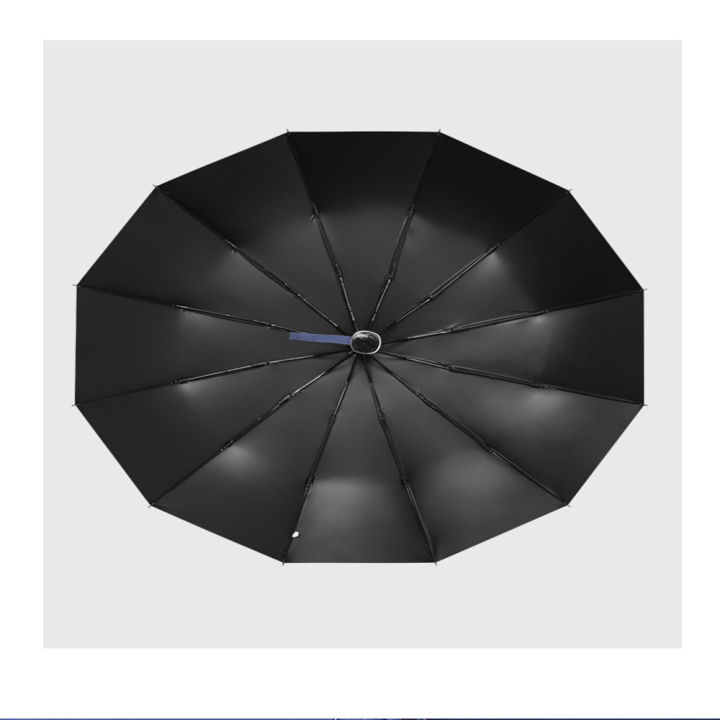 Umbrella%20BMW%20Motorsport%20/%20Chata%2012%20sikh%20auto%20on%20and%20auto%20close%20-%20Image%203