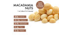 Nuttish Land Dry Roasted Salted Macadamia Nuts -2000 gms 2kg. 