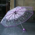 Cherry Blossom Korean Version Three Fold Transparent Umbrella.