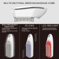 4 in 1 Electric Head Massage Comb RF Led Light EMS Vibration Therapy Hair Growth Anti Hair Loss Comb Head Massager.