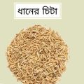 Rice Husk (Dhaner Khosa) -1 kg.