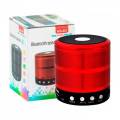 Mini Bluetooth Speaker (WS-887). 