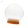 3pcs Glass Ball Shaped Cover Landscape Terrarium Container Lid Vase Bottle. 