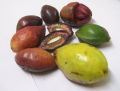 Kath Badam Seeds (Almond Seeds) 10pcs. 