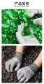 Five -Level Anti -Cut Gloves Kitchen HPPE Scratch Resistant Glass Cutting Safety Protection for Gardeners. 