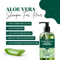 Natural Aloe Vera Shampoo For Women And Men. 