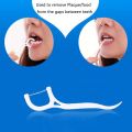 【All Of Me】60/120PCS/Lot Dental Floss Sticks Tooth Teeth Plaque Remover Interdental Oral.