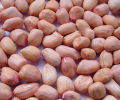 Raw Peanuts, China Badam- 1Kg - Badam. 