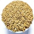 Polar Chal er Dhan (Chinigura Paddy) - 1kg ( চিনিগুড়া ধান). 