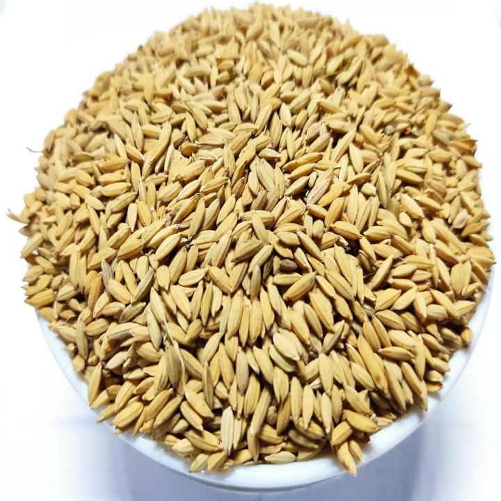 Polar Chal er Dhan (Chinigura Paddy) - 1kg ( চিনিগুড়া ধান)