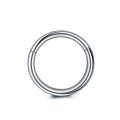 1Pc 316L Stainless Steel Hinged Segment Nose Ring Ear Cartilage Tragus Helix Lip Piercing Nose Hoop Body Piercing Jewelry. 