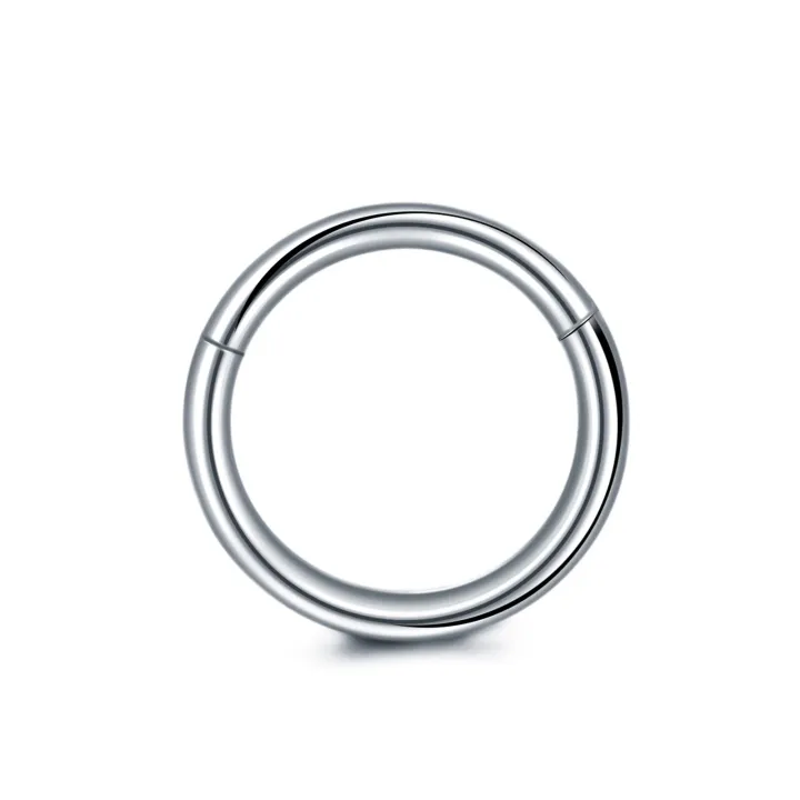 1Pc%20316L%20Stainless%20Steel%20Hinged%20Segment%20Nose%20Ring%20Ear%20Cartilage%20Tragus%20Helix%20Lip%20Piercing%20Nose%20Hoop%20Body%20Piercing%20Jewelry%20-%20Image%202