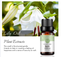 Lily Essential Oil,100% Pure Oil for Diffuser, Massage - 10ml. 