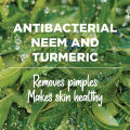 Himalaya Purifying Neem Face Wash 100 ml. 