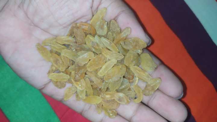 Golden%20Raisins%20Kismis%20Seedless%20-%20500gm%20(impoted)%20-%20Image%202