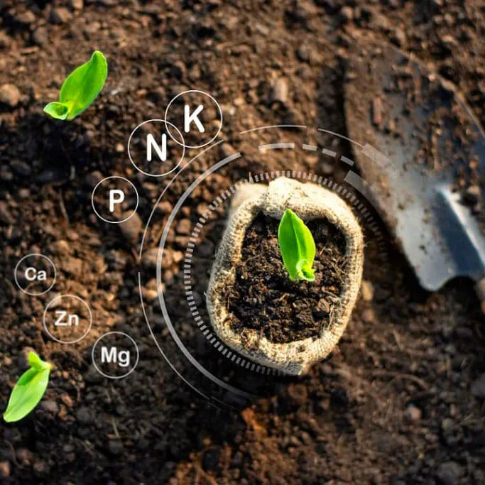 Premium%20High%20Quality%20Organic%20fertilizers%20for%20Plants%202%20KG%20fertilizer%20Bumper%20Folon%20joibo%20sar%20-%20Image%205