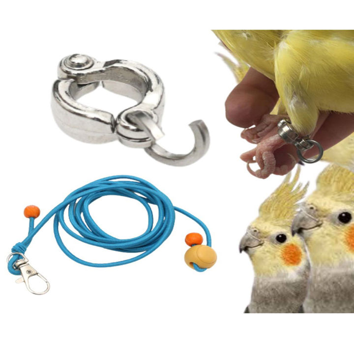 Cockatiel%20Bird%20Harness%20with%2060%20Inch%20Elastic%20&%205.5mm%20Anklet%20%E2%80%93%20Full%20Set%20Combo%20Pack%20for%20Pet%20Birds%20in%20Bangladesh%20(1PCS)%20-%20Image%203