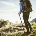 Premium quality Folding Walking Stick. 