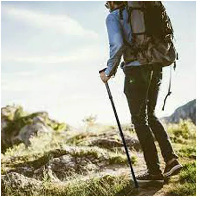 Premium%20quality%20Folding%20Walking%20Stick%20-%20Image%202