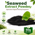 Seaweed extract powder Agriculture organic rooting sargassum 50g(Re pack).